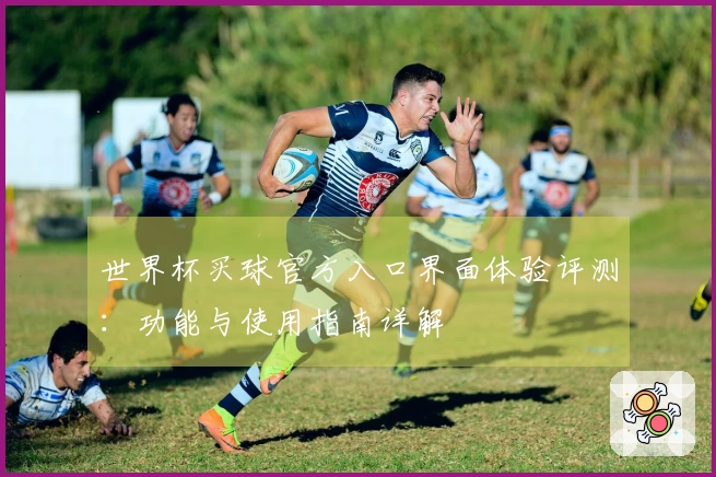 世界杯买球官方入口界面体验评测：功能与使用指南详解