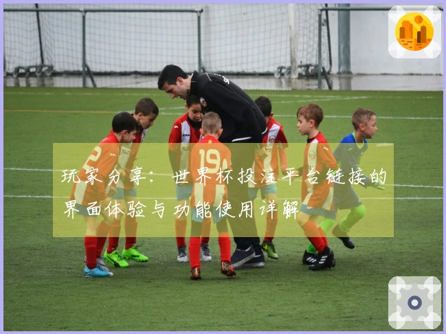 玩家分享：世界杯投注平台链接的界面体验与功能使用详解