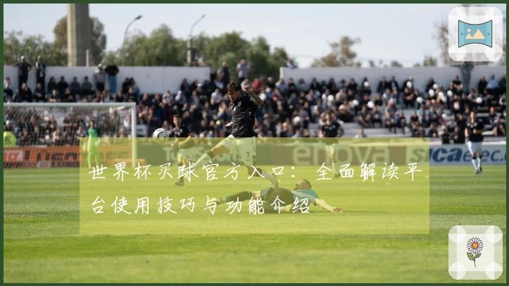 世界杯买球官方入口：全面解读平台使用技巧与功能介绍
