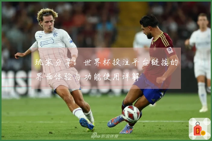 玩家分享：世界杯投注平台链接的界面体验与功能使用详解
