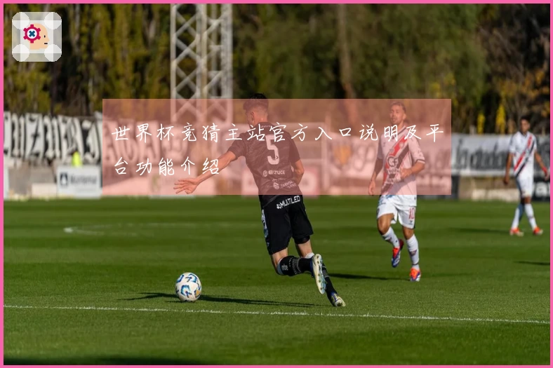 世界杯竞猜主站官方入口说明及平台功能介绍